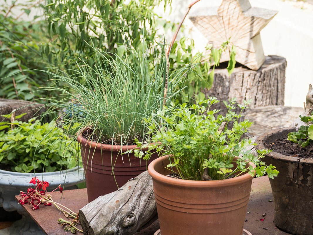 Garten